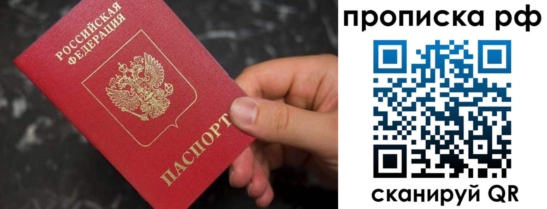 прописка 2025 в Краснознаменске
